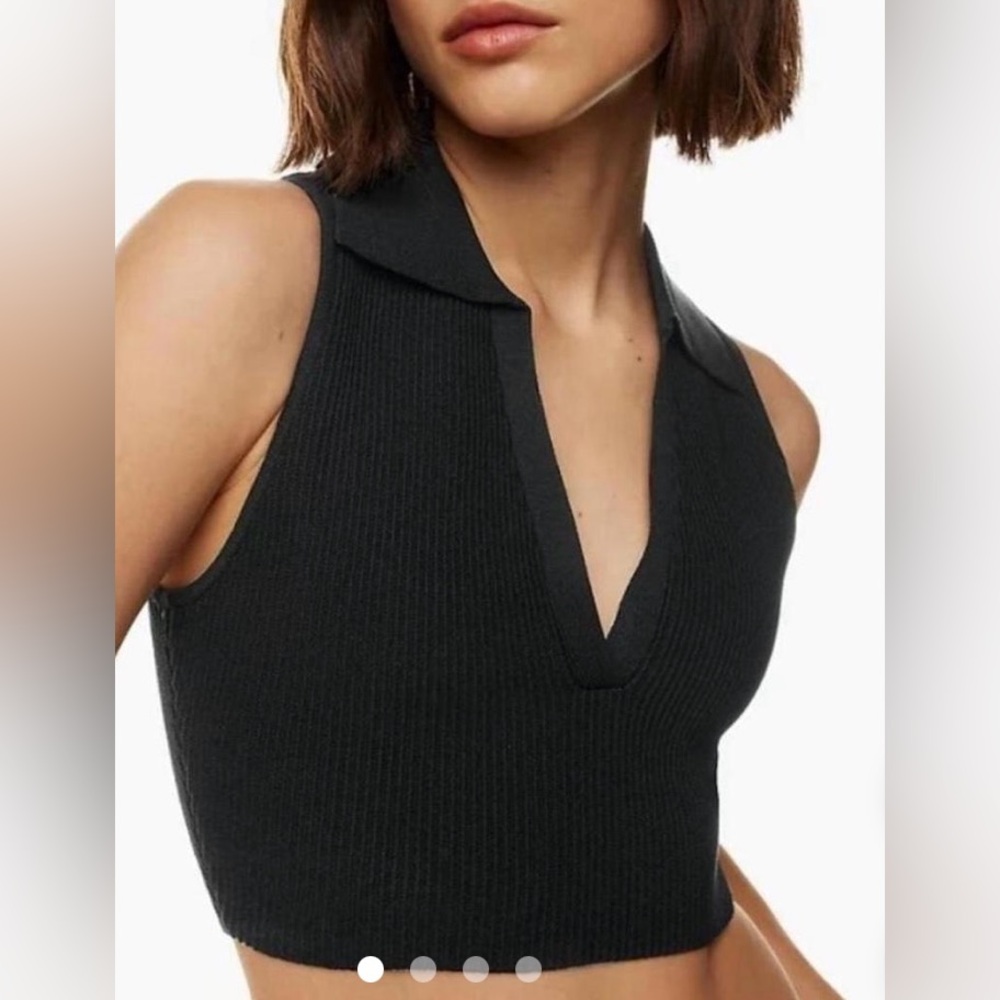 Aritzia Babaton Sculpt Knit Crop Top